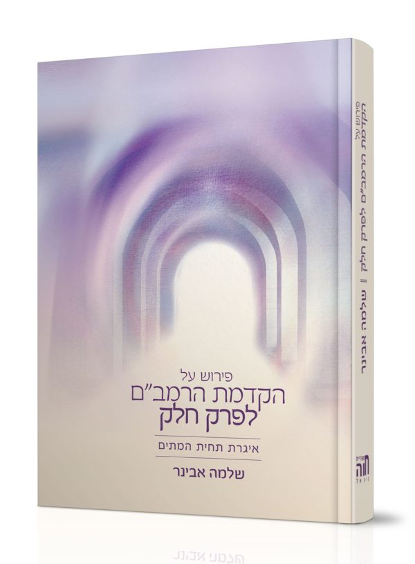 הקדמת הרמב"ם לפרק חלק - הרב שלמה אבינר