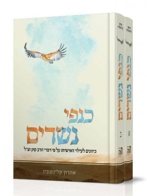 כנפי נשרים - הרב אהרן קלינשפיז