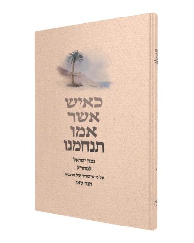כאיש אשר אמו תנחמנו ד’- על פרק ד’ בנצח ישראל