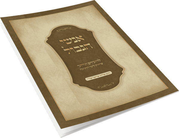 אנשי הגבול - להזכירם תורתך שיחות לימי החנוכה / הרב אריאל אדרי