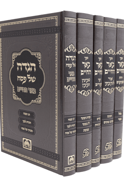 סט באר החיים מועדים - הרב אלימלך בידרמן / 5 כרכים