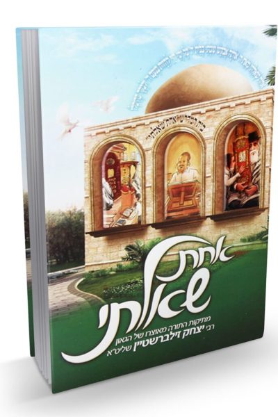 אחת שאלתי חלק א' - הרב יצחק זילברשטיין