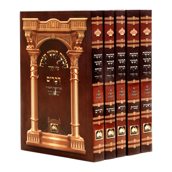 חמשה חומשי תורה לתלמידים עם תמונות גדול - עוז והדר